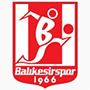 balikesishibanglogo